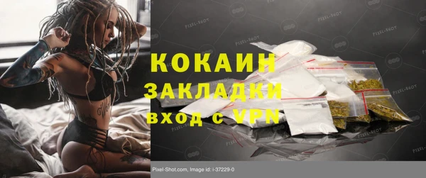 шишки Алексин