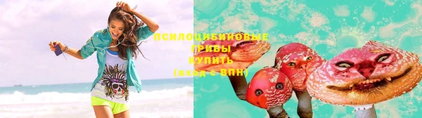 дмт Алексеевка