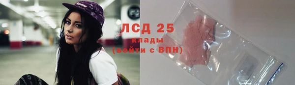 шишки Алексин