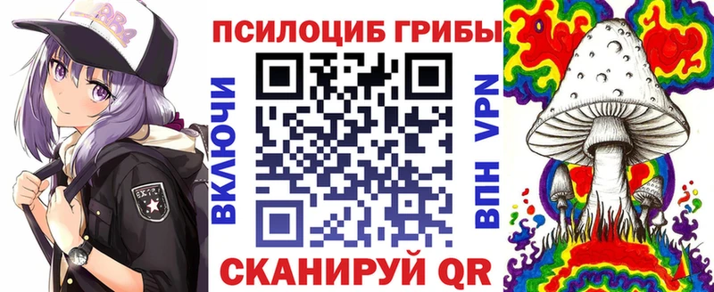 Галлюциногенные грибы Cubensis  Купить закладки  Задонск 